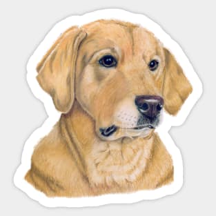 Labrador retriever - Yellow P Sticker